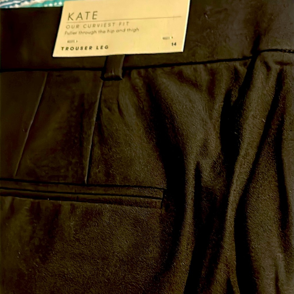 Brand new Ann Taylor Kate Trouser Leg